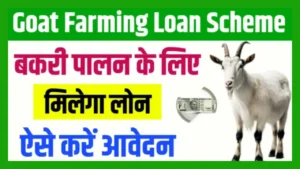 Goat Farming Loan Subsidy 2024